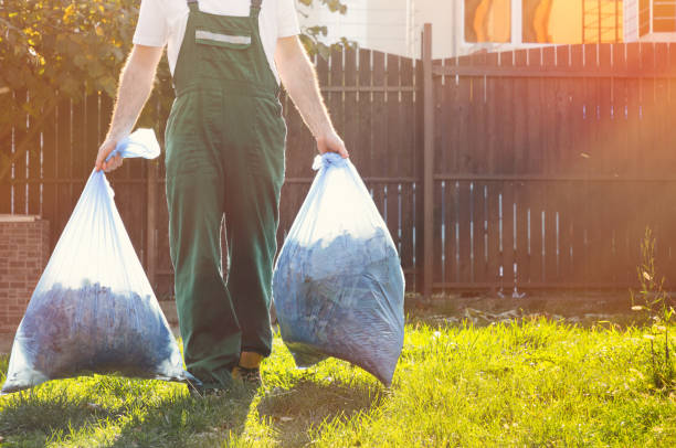Best Junk Hauling Services  in Baileyton, AL