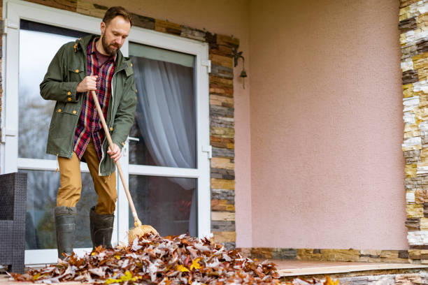 Best Electronics Removal Services  in Baileyton, AL